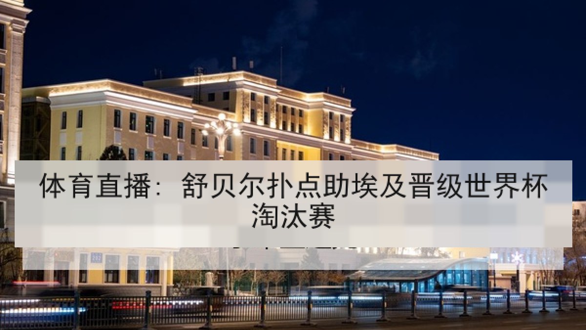 体育直播: 舒贝尔扑点助埃及晋级世界杯淘汰赛