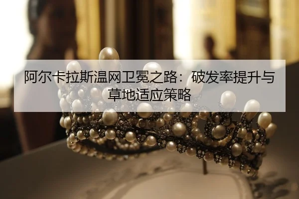 a-er-ka-la-si-wen-wang-wei-mian-zhi-lu-po-fa-lv-ti-sheng-yu-cao-di-shi-ying-ce-lve-2-693.jpg