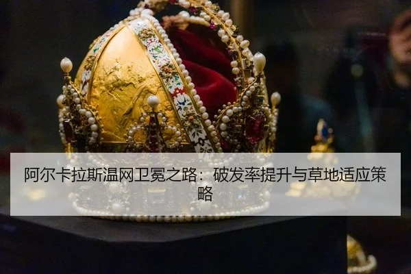 a-er-ka-la-si-wen-wang-wei-mian-zhi-lu-po-fa-lv-ti-sheng-yu-cao-di-shi-ying-ce-lve-3-869.jpg