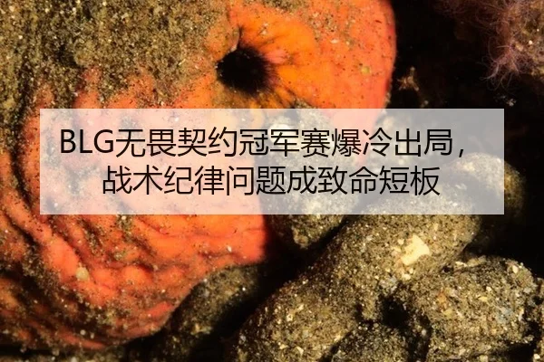 wu-wei-qi-yue-guan-jun-sai-bao-leng-chu-ju-zhan-shu-ji-lv-wen-ti-cheng-zhi-ming-duan-ban-3-538.jpg